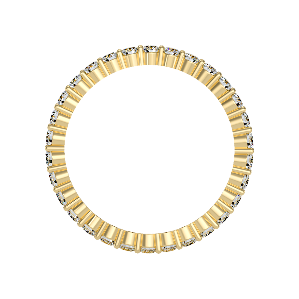 Glorious Eternity Band - Twelve