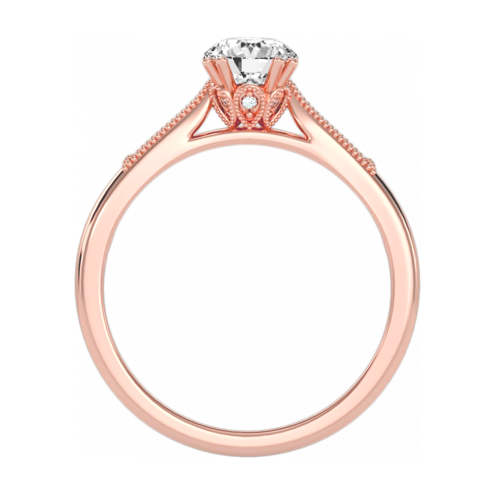 The Asombrosa Solitaire Ring - Nine