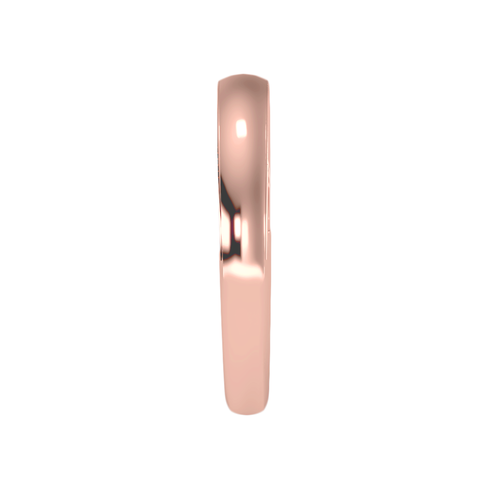The Beautiful Sleek Wedding Band - Eleven