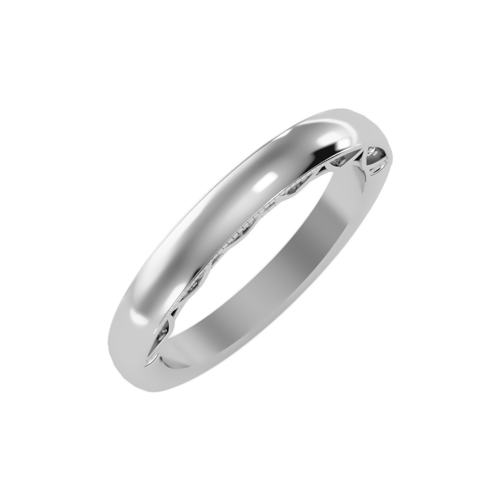The Beautiful Sleek Wedding Band - Two