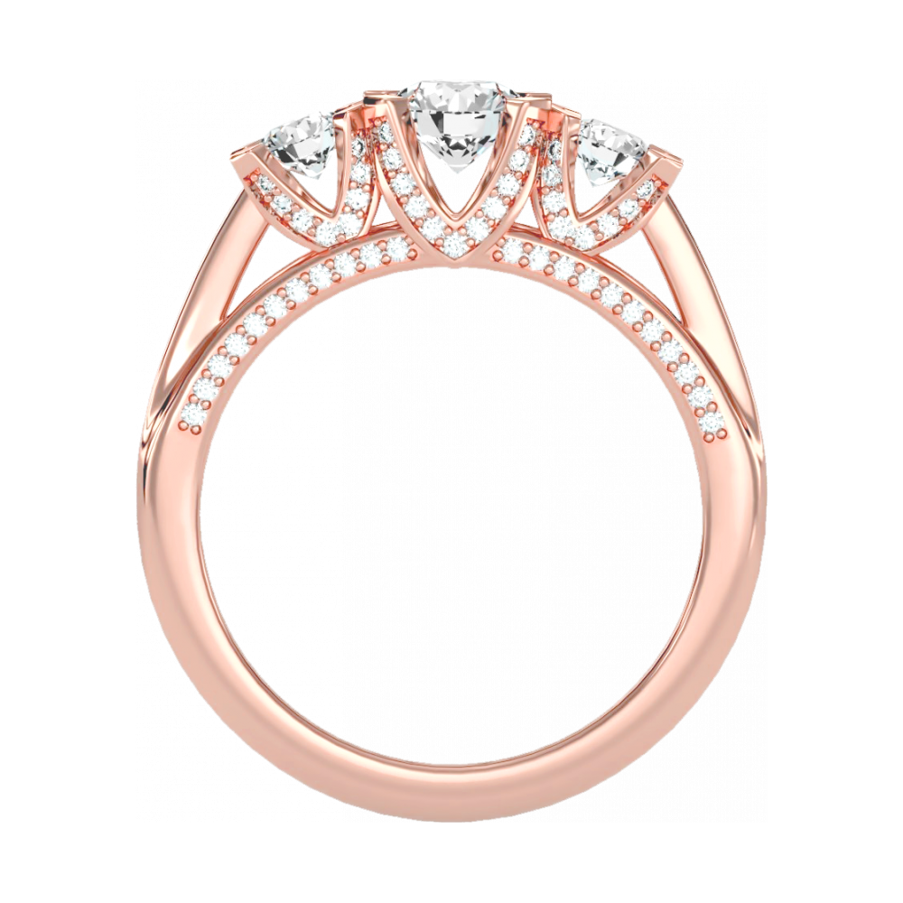 The Delightful Halo Ring - Nine