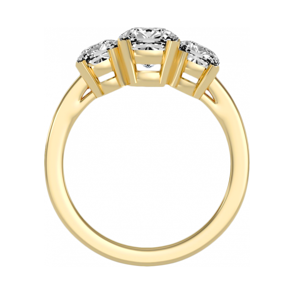 The Evolved Three Stone Ring - Five