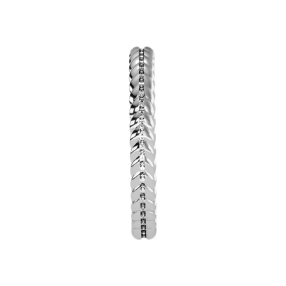 The Eye Catching Wedding Band - Three