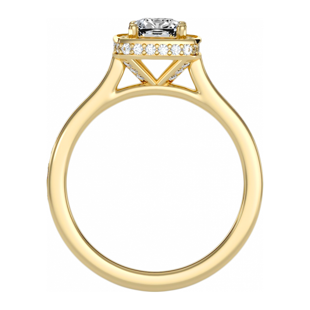 The Prodigious Halo Ring - Five