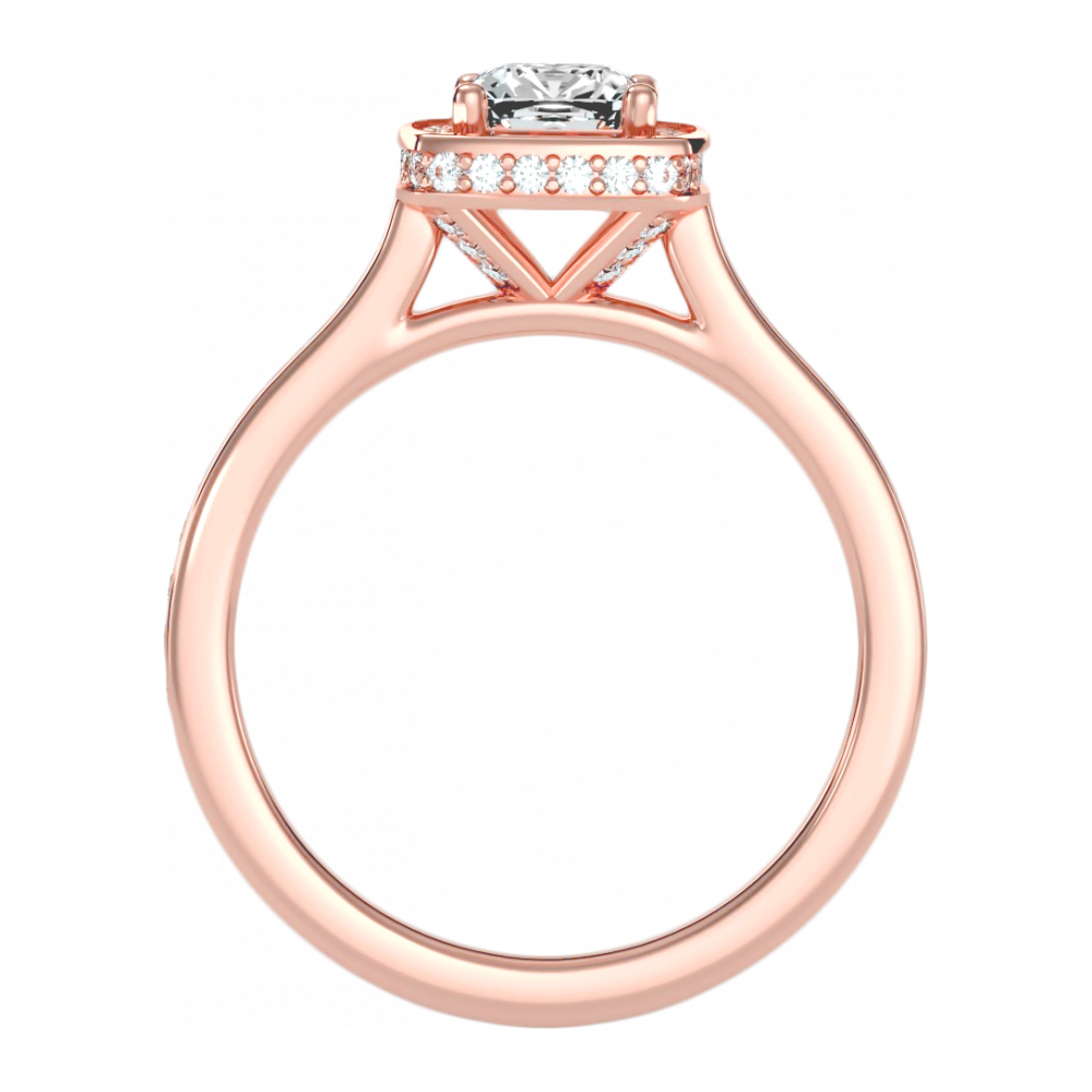 The Prodigious Halo Ring - Nine
