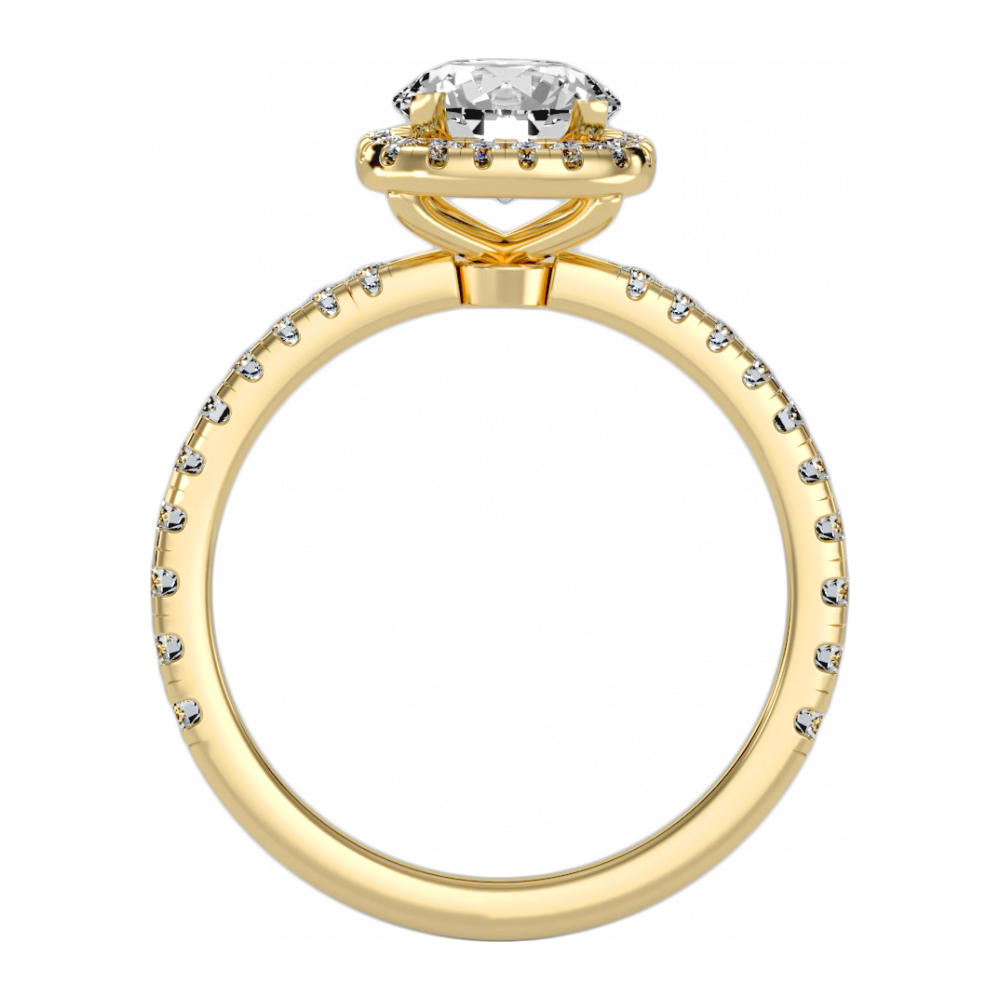 The Significant Halo Ring - Five