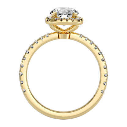 The Significant Halo Ring - Five