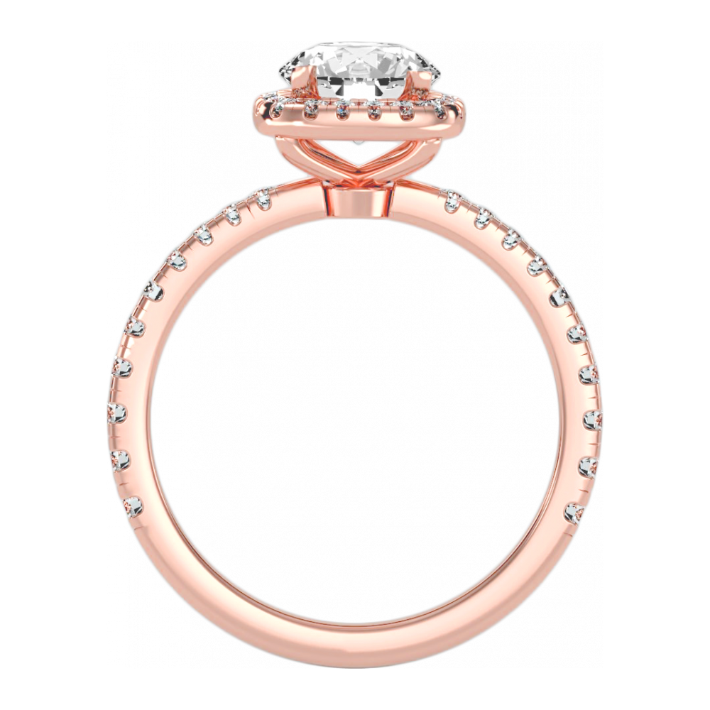 The Significant Halo Ring - Nine