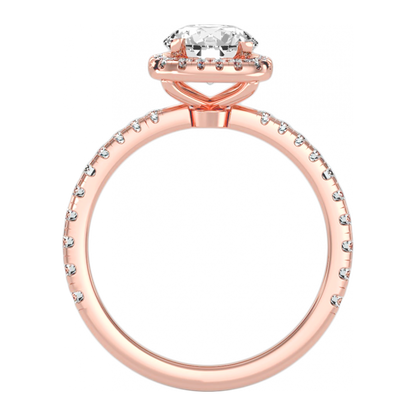 The Significant Halo Ring - Nine